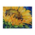 Trademark Fine Art Marcia Baldwin 'Sunflower September' Canvas Art, 24x32 ALI34647-C2432GG